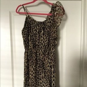 Sheer Leopard Print Dress